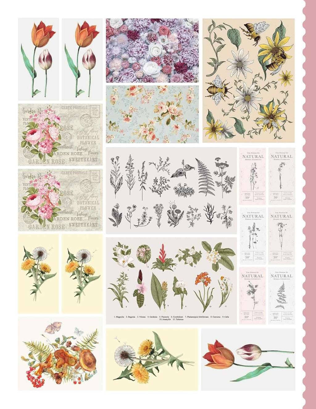 Junk Journal Cutouts: Vintage Designs: from Botanicals to Travel, 350+ Timeless Images for Creative Journaling (My Junk Journal Supplies)