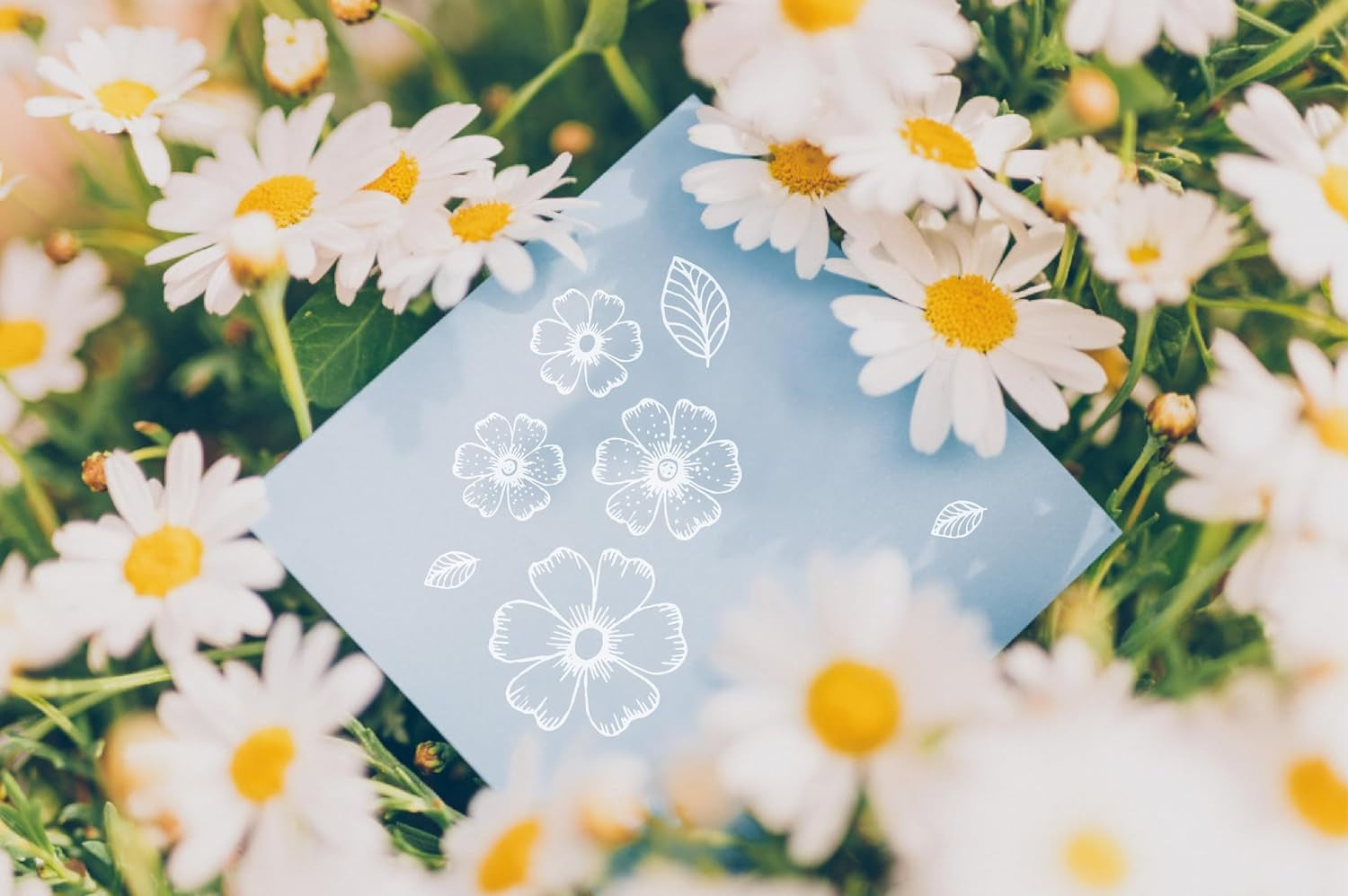 DIY Flowers Leaves Stamp Rubber Clear Stamp/Seal Scrapbook Decorative Card Making Clear Stamps