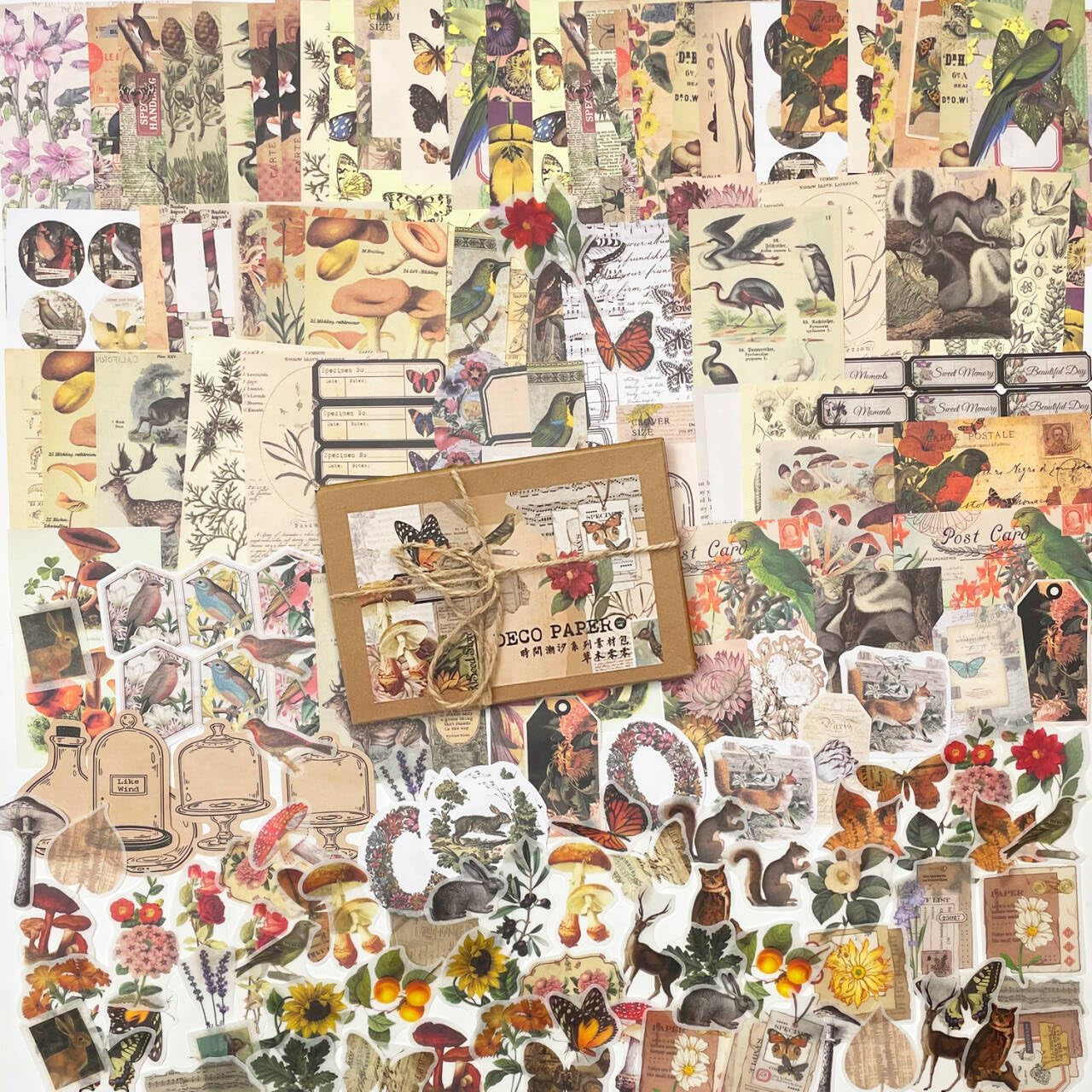 200 Scrapbook Stickers Kit & Aesthetic Journaling Paper Flower Fruit Buttery Journaling Supplies for Junk Journals Craft Tags Cards Collage