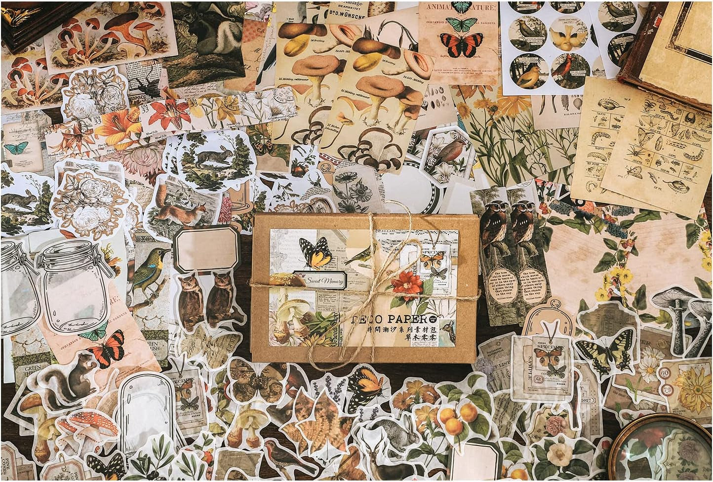 200 Pieces Vintage Ephemera Pack Decoupage Paper Junk Journal Kit Scrapbook Planner Sticker Supplies for Art Journaling Bullet Journals Collage Craft Notebooks Album Crafter Gifts (Forest)